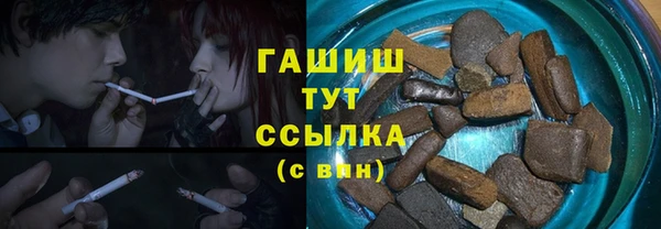 мдпв Елабуга