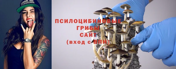 мдпв Елабуга