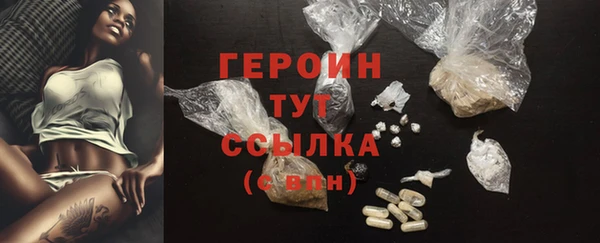 гидра Елизово