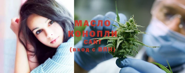 гидра Елизово