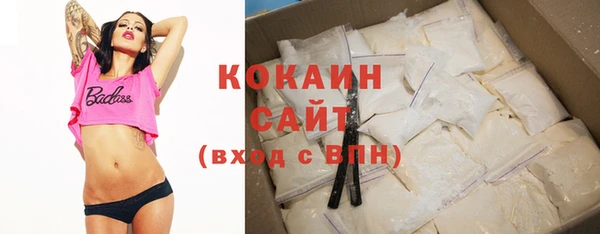 мдпв Елабуга
