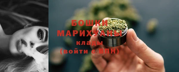гидра Елизово
