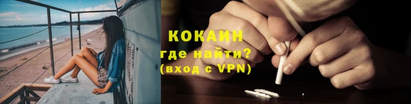 гидра Елизово
