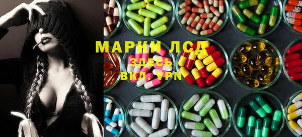 гидра Елизово