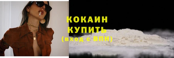 гидра Елизово