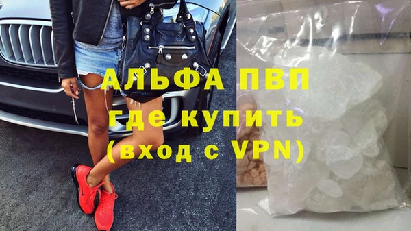 гидра Елизово
