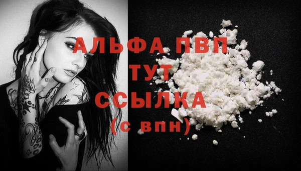 гидра Елизово