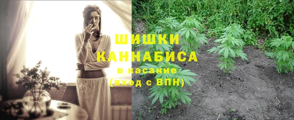 мдпв Елабуга