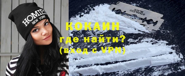 гидра Елизово