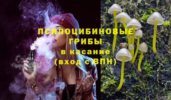 mdma Ельня