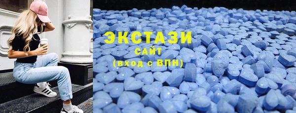 мдпв Елабуга