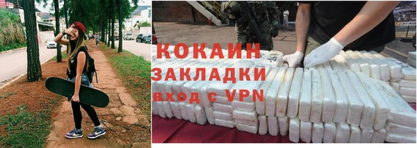 гидра Елизово