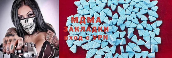 мдпв Елабуга