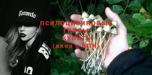 мдпв Елабуга