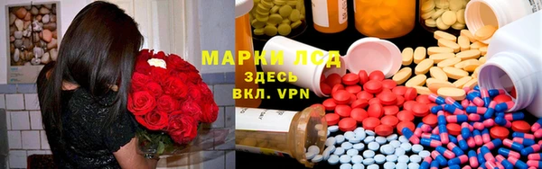 гидра Елизово