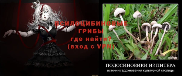 mdma Ельня