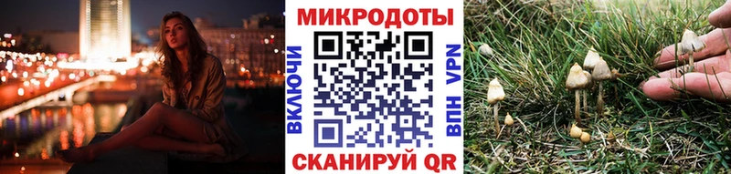 Купить  Дагестанские Огни  Псилоцибиновые грибы прущие грибы 